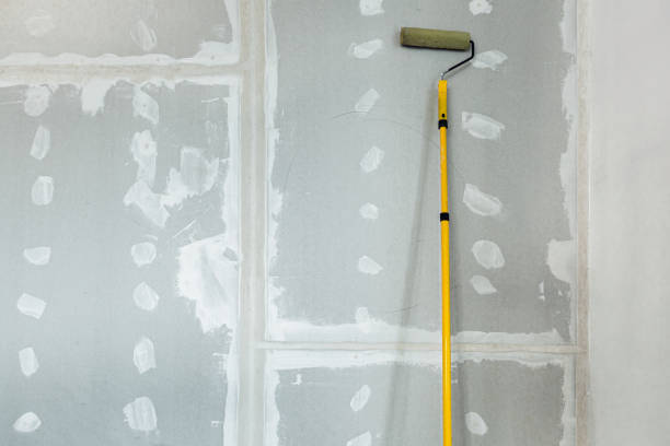 Best Emergency Mold Remediation  in Buzzards Bay, MA