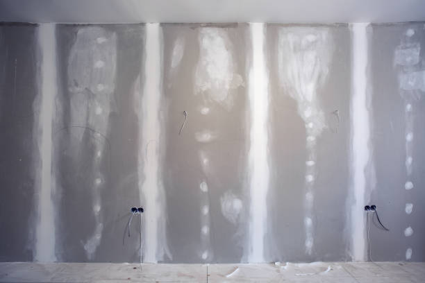 Best Mold-Related Health Consultation  in Buzzards Bay, MA